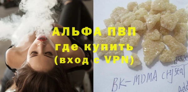 гашик Зеленокумск