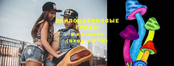 гашик Зеленокумск