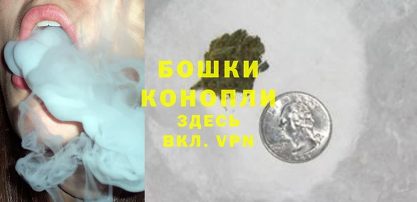 гашик Зеленокумск