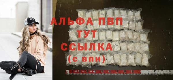 гашик Зеленокумск